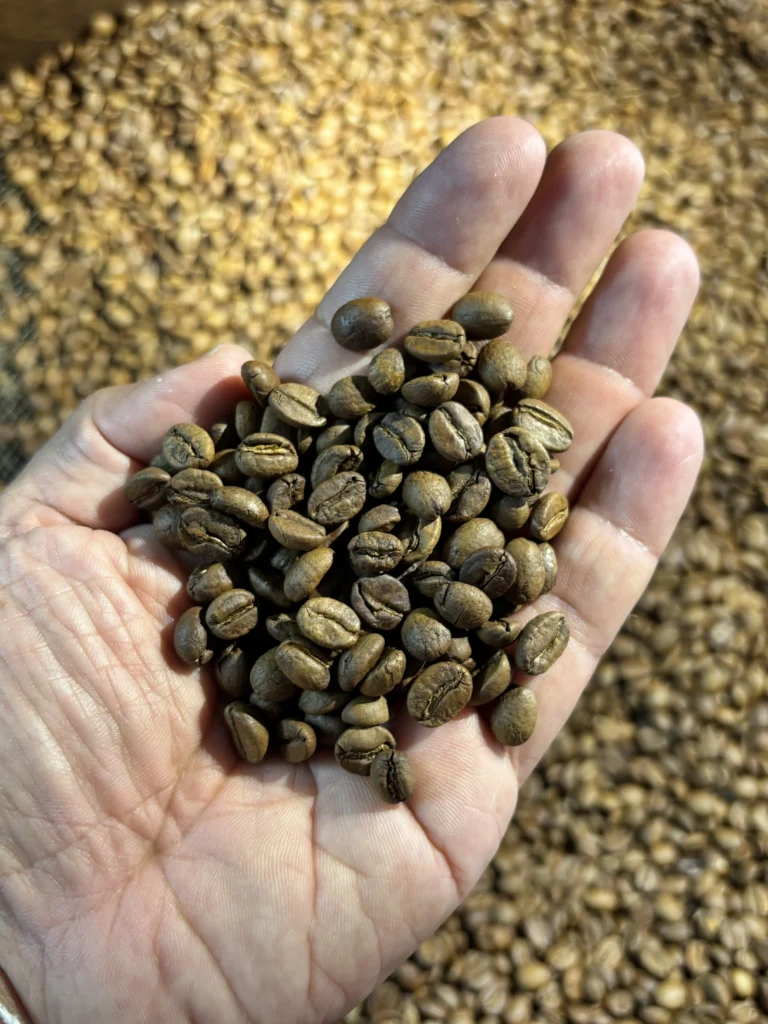 FA6B941B-F838-44A1-BD9B-C14D046CBB69