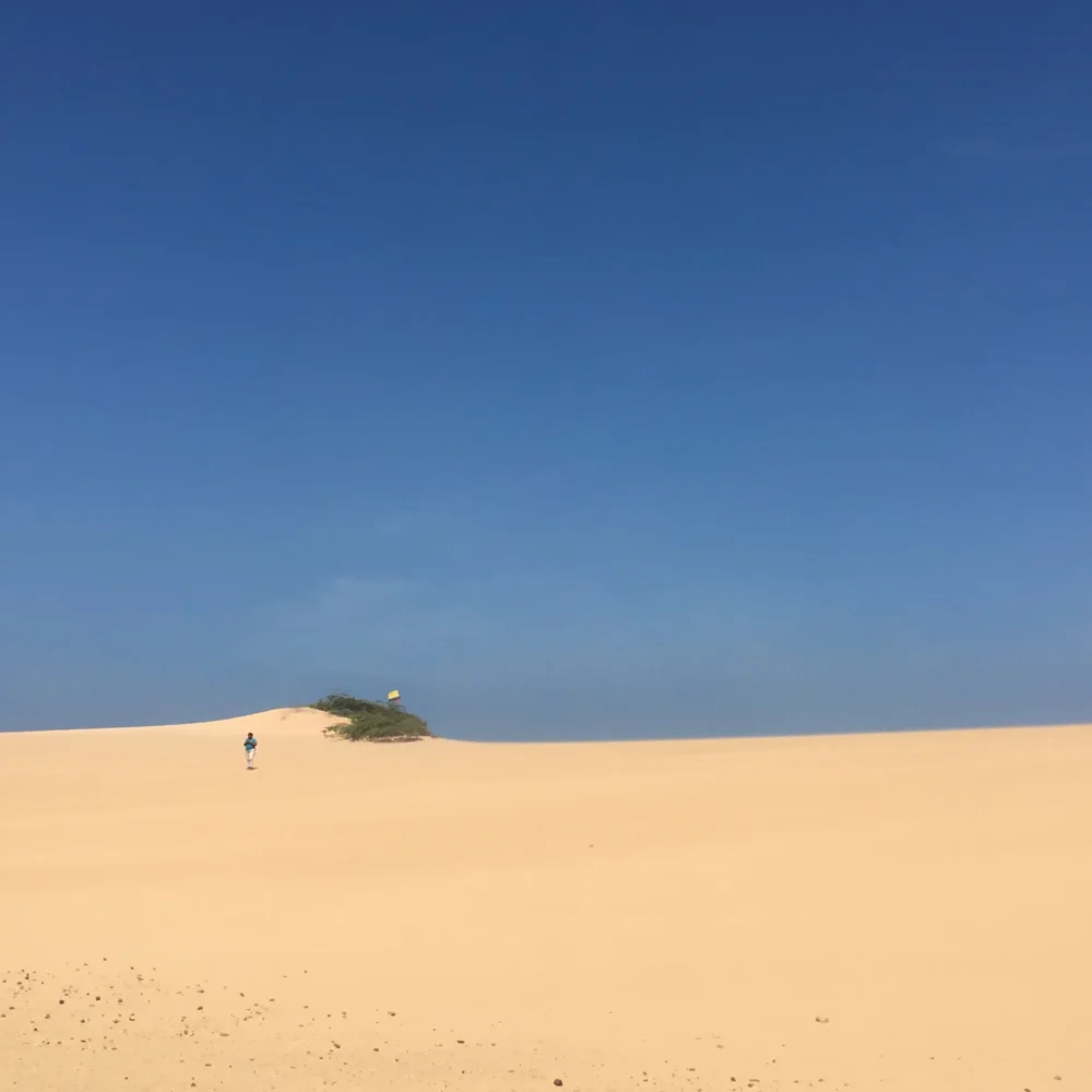 dunes